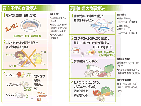 生活習慣病（高血圧・高脂血症・糖尿病）の食事療法